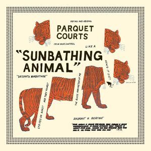 Parquet Courts - Sunbathing Animal  CD